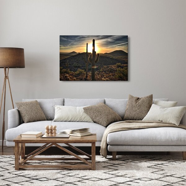Tablou - cactușii la soare (90x60 cm)