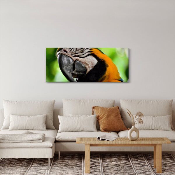 Tablou cu papagal (120x50 cm)