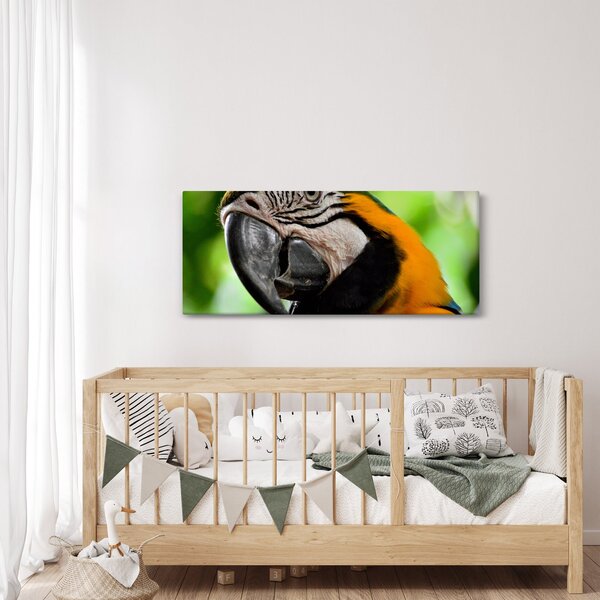 Tablou cu papagal (120x50 cm)