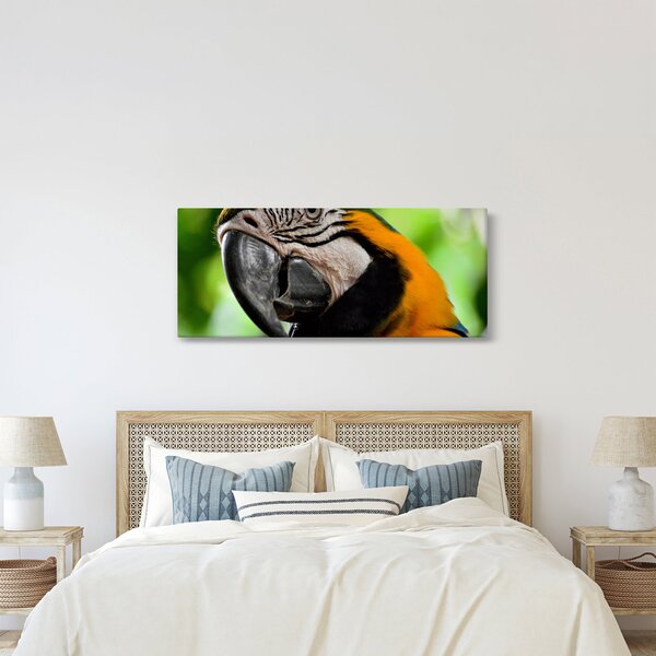Tablou cu papagal (120x50 cm)