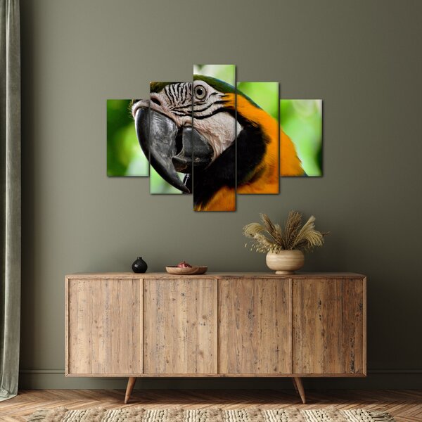 Tablou cu papagal (150x105 cm)