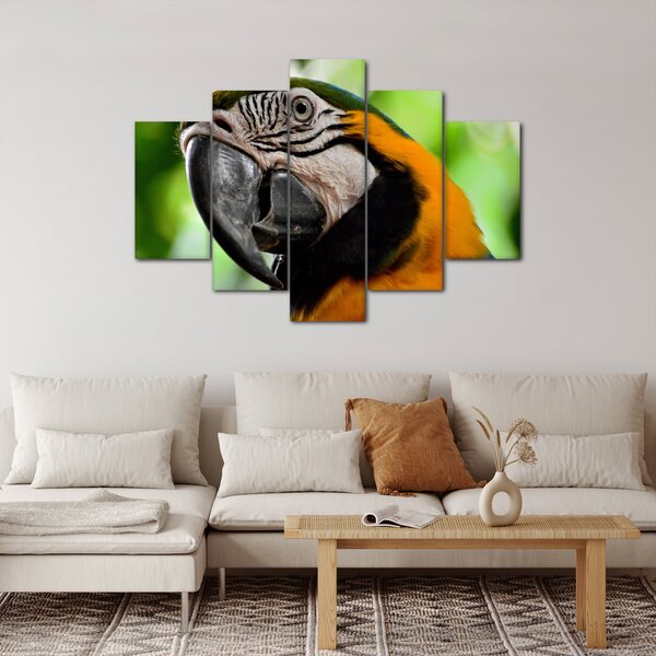 Tablou cu papagal (150x105 cm)