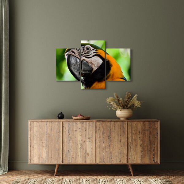 Tablou cu papagal (90x60 cm)