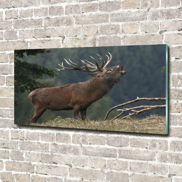 Tablou Printat Pe Sticlă Deer pe deal
