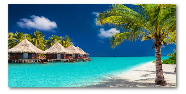 Fotografie imprimată pe sticlă bungalow-uri Maldive