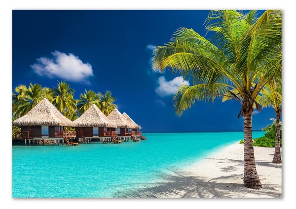 Fotografie imprimată pe sticlă bungalow-uri Maldive
