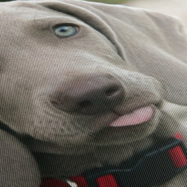 Tablou - cățeluș weimaraner (cu ceas) (90x30 cm)