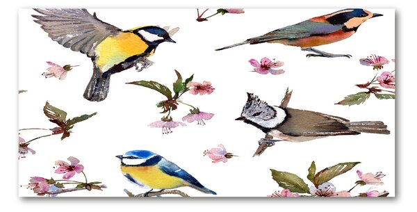 Tablou sticlă Bird flori de cires