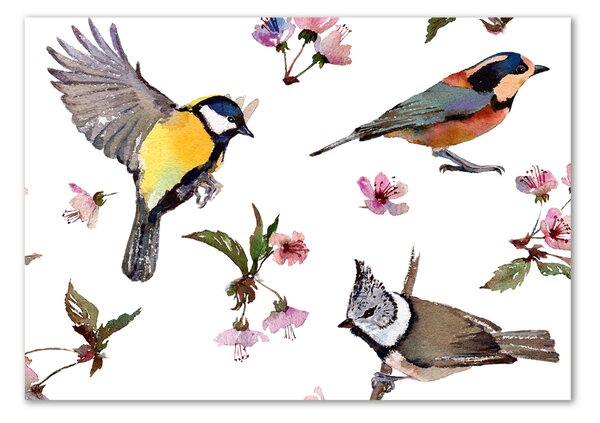 Tablou sticlă Bird flori de cires