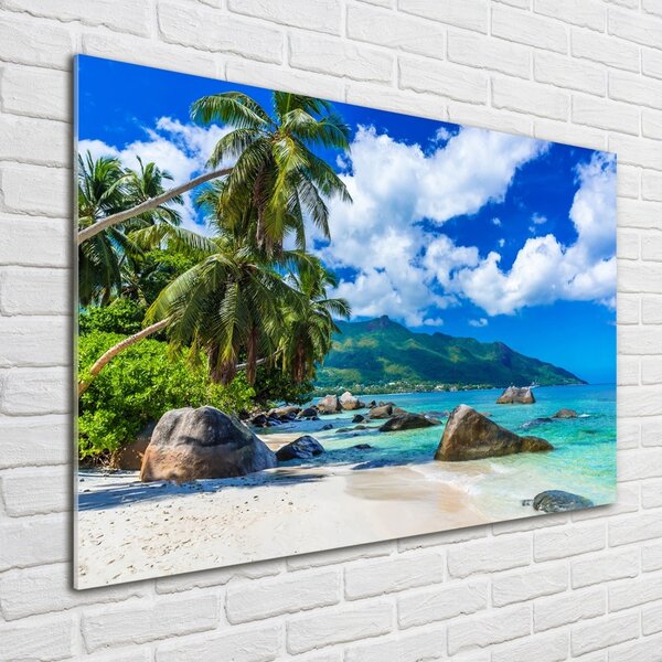 Tablou pe pe sticlă plaja Seychelles