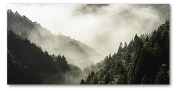 Fotografie imprimată pe sticlă Ceață peste pădure