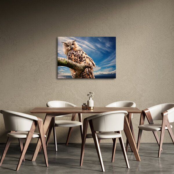 Tablou cu bufnița (70x50 cm)