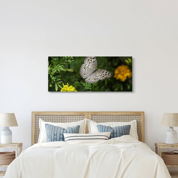Tablou - fluture alb (120x50 cm)