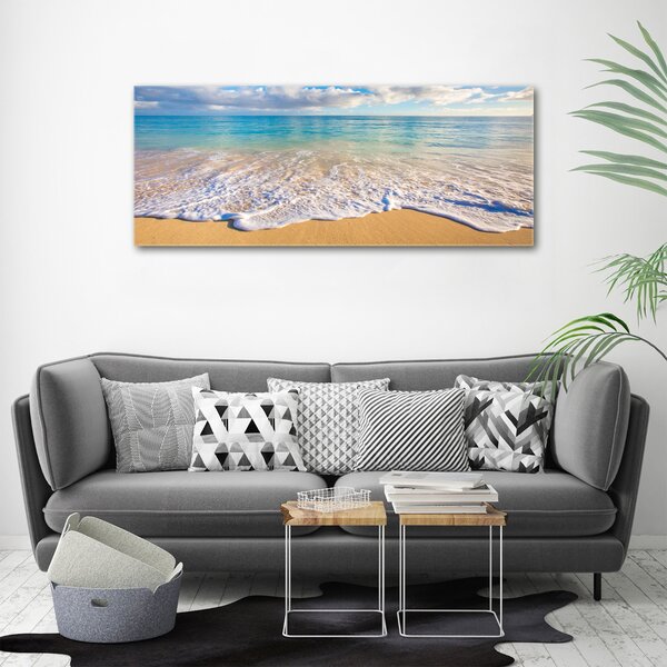Tablou pe pânză canvas plaja Hawaii