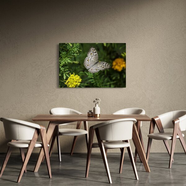 Tablou - fluture alb (90x60 cm)