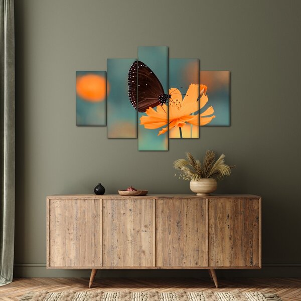 Tablou - fluture pe o floare portocalie (150x105 cm)