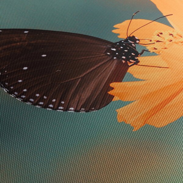 Tablou - fluture pe o floare portocalie (120x50 cm)