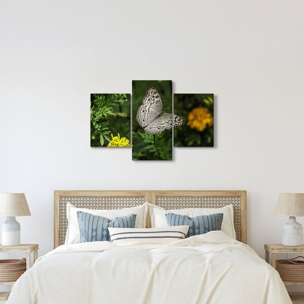 Tablou - fluture alb (90x60 cm)