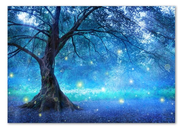 Tablou pe pe sticlă pădure misterioasă