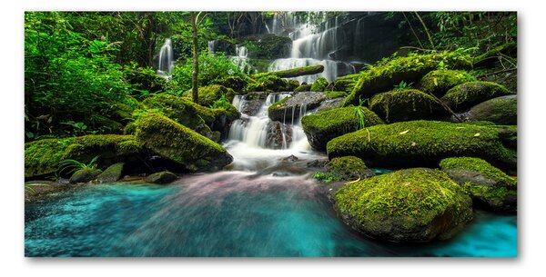 Imagine de sticlă Cascada din junglă