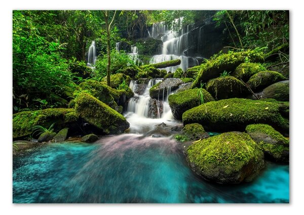 Imagine de sticlă Cascada din junglă
