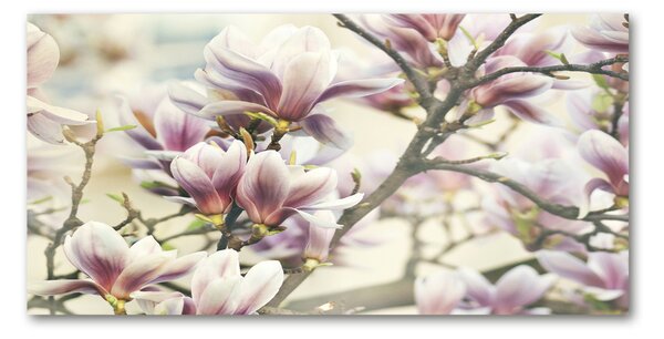 Tablou din Sticlă Magnolie