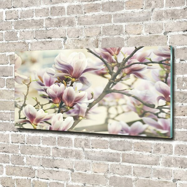 Tablou din Sticlă Magnolie
