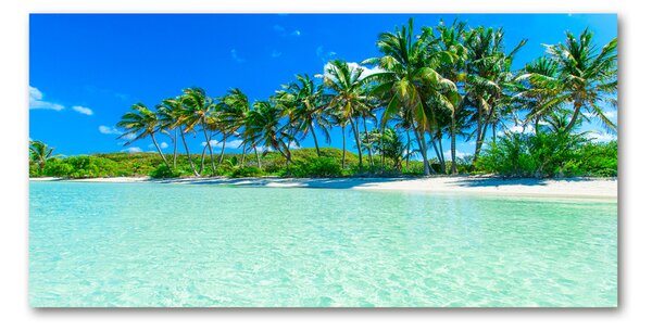 Tablou sticlă plaja tropicala