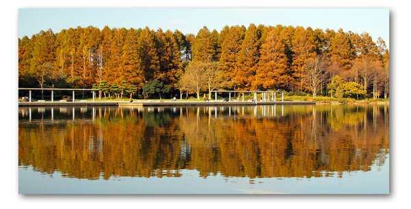 Tablou Printat Pe Sticlă Lake Forest