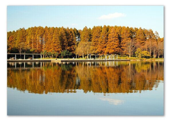 Tablou Printat Pe Sticlă Lake Forest