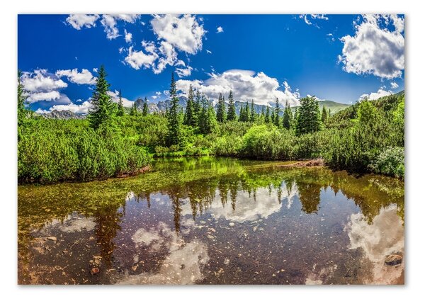 Tablou pe pe sticlă Lacul în pădure