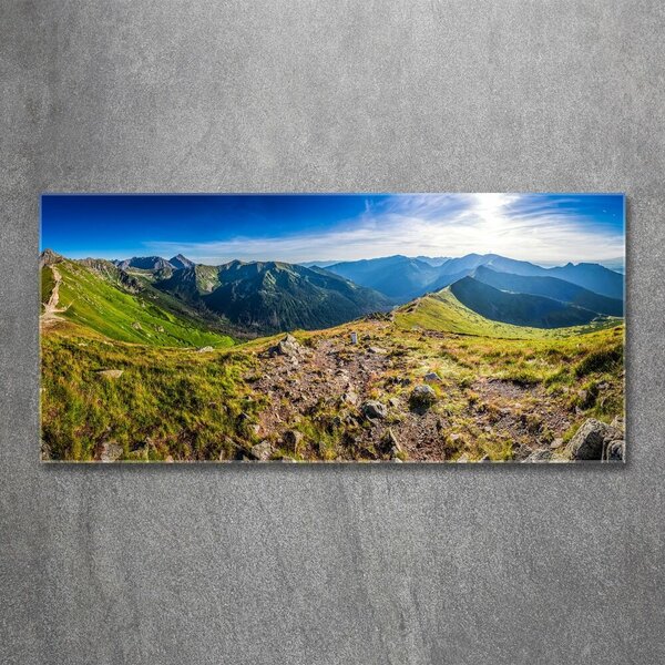Pictura pe sticlă acrilică Lumea subacvatica