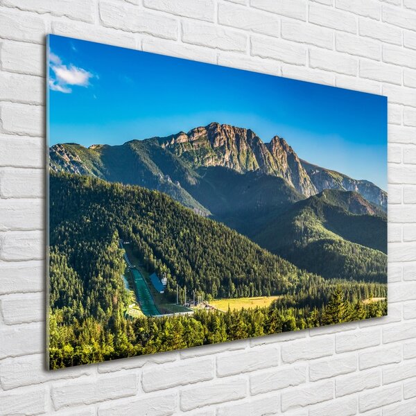 Fotografie imprimată pe sticlă panorama Tatra