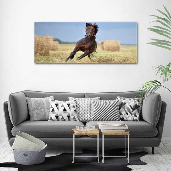 Tablou canvas Un cal în galop
