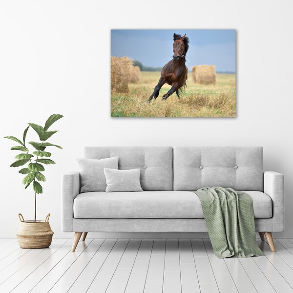 Tablou canvas Un cal în galop
