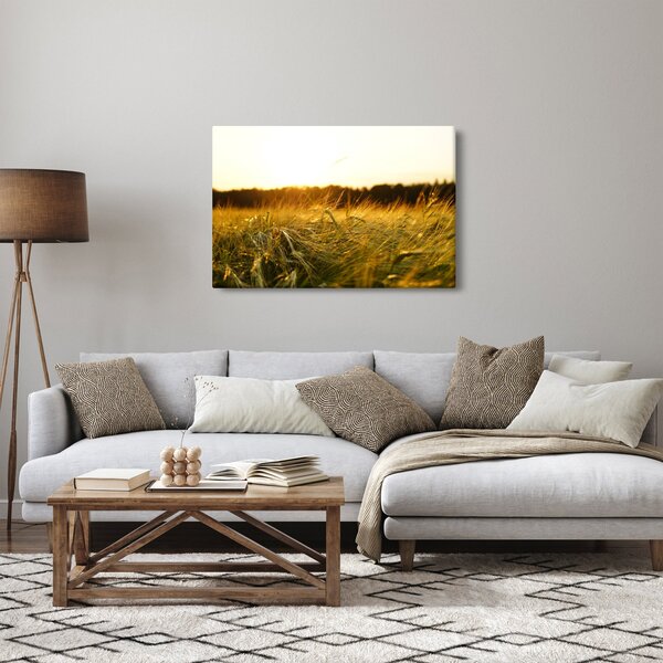 Tablou iarba cu rouă (90x60 cm)