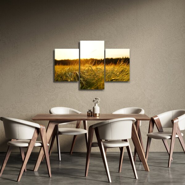 Tablou iarba cu rouă (90x60 cm)