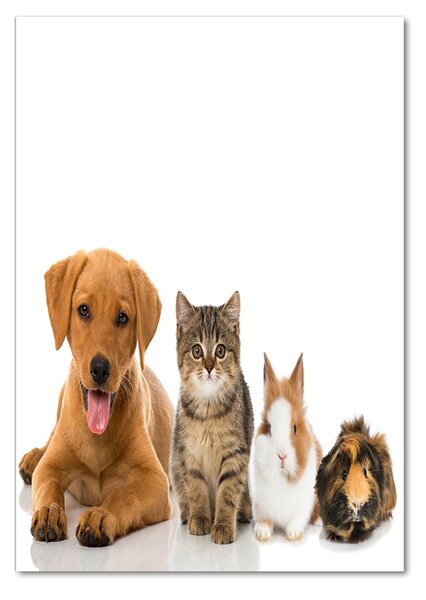 Tablou pe pe sticlă Animale de companie