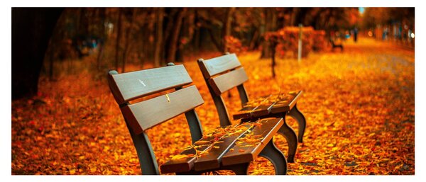 Tablou cu banca toamna (120x50 cm)