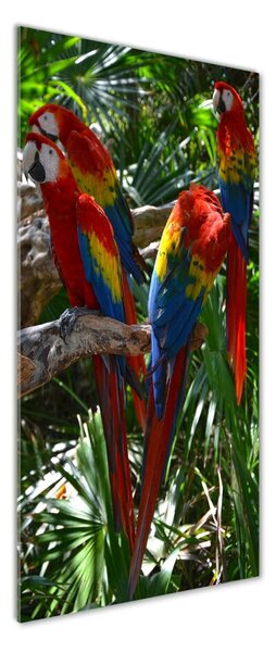 Tablou sticlă papagali Macaws