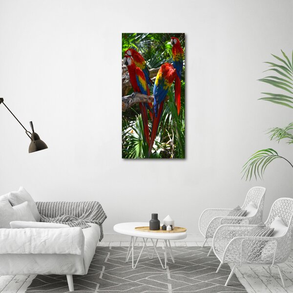 Tablouri tipărite pe pânză papagali Macaws