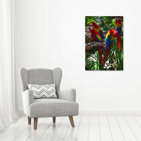 Tablouri tipărite pe pânză papagali Macaws
