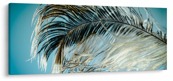 Tablou cu pană (120x50 cm)