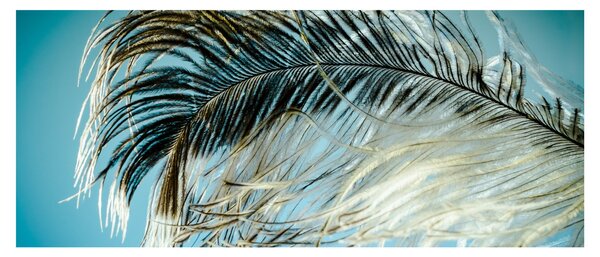 Tablou cu pană (120x50 cm)