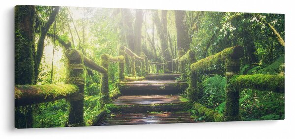 Tablou - trepte din lemn în pădure (120x50 cm)