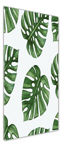 Fotografie imprimată pe sticlă Monstera
