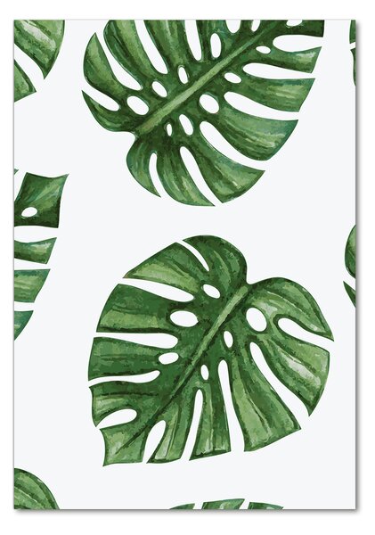 Fotografie imprimată pe sticlă Monstera