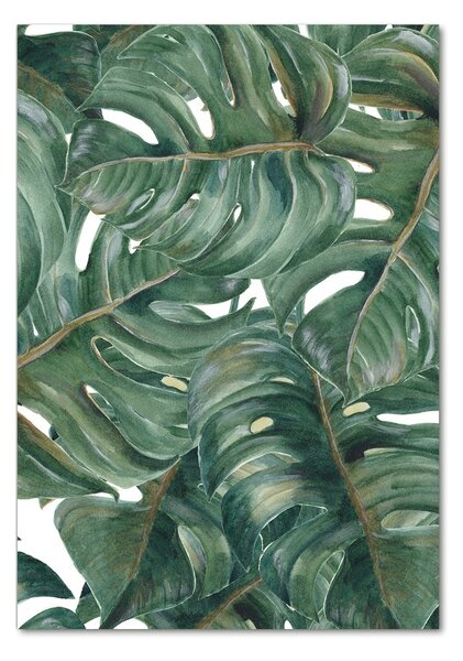 Tablou din Sticlă Monstera