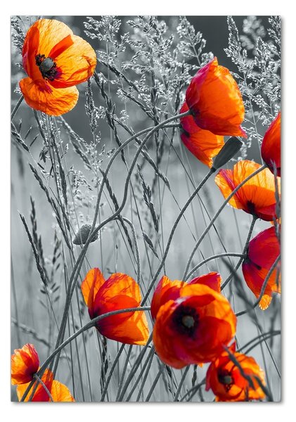 Tablou din Sticlă wildflowers maci