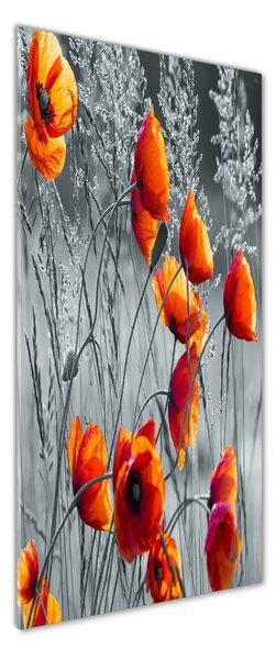 Tablou din Sticlă wildflowers maci